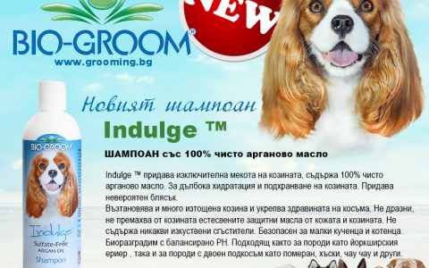 GroomingBG