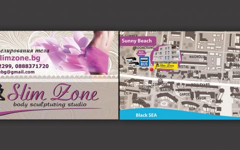 Slim Zone card